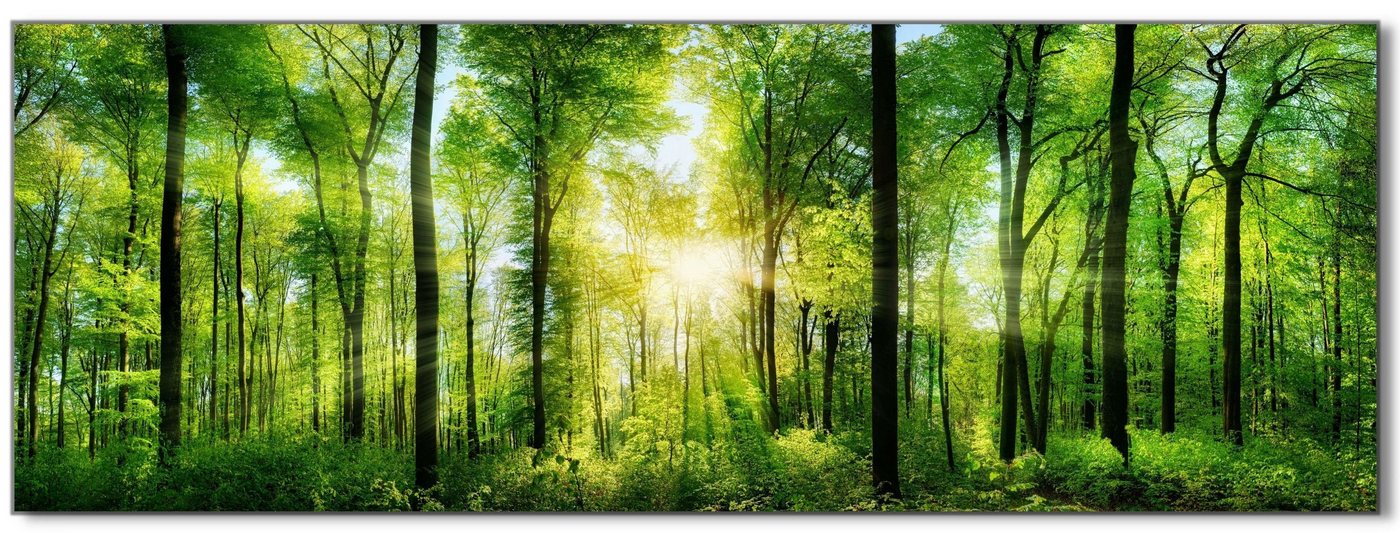 Victor (Zenith) Acrylglasbild Acrylglasbild \"Wald mit Sonnenstrahlen\" - Größe: 50 x 150 cm, Landschaften, in 50x150 cm, Glasbilder Wald Bäume Natur von Victor (Zenith)