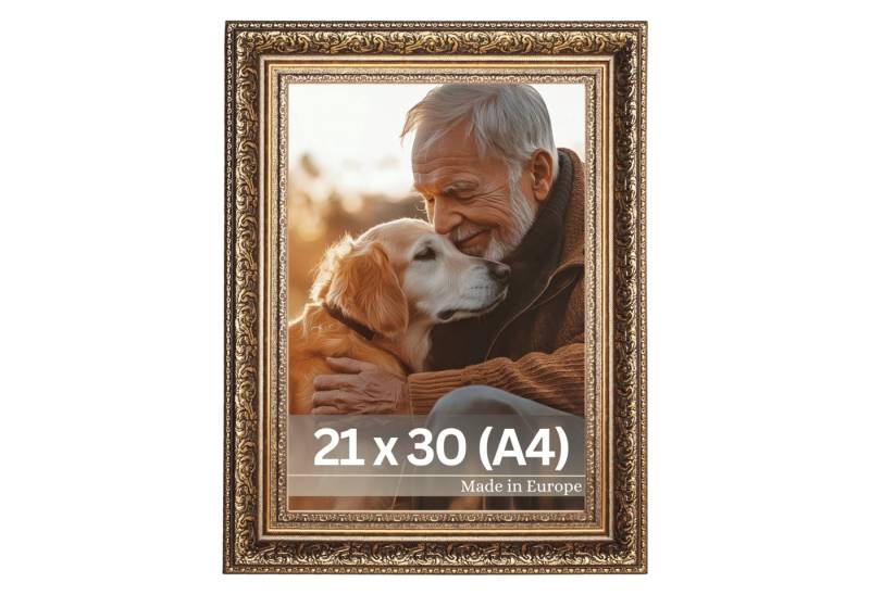 Victor (Zenith) Bilderrahmen Leonardo, Bilderrahmen A4 Gold Braun 21 x 30 cm, Bilderrahmen Antik von Victor (Zenith)