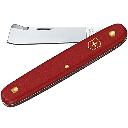 Victorinox, Taschenwerkzeug, Garten, Okuliermesser Kombi, rot, 2, Funktionen, Klinge, gerade | Rindenlöser, Swiss Made von Victorinox