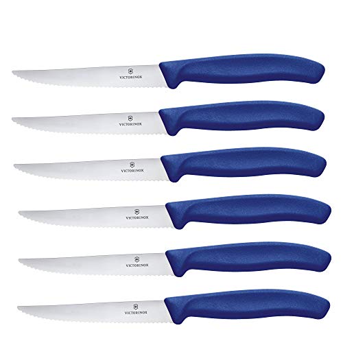 Victorinox, Swiss Classic, Profi Steakmesser-Set, 6-teilig, Extra Scharfe Klinge, Wellenschliff, 11 cm, Robuster Kunststoffgriff, Rostfreier Stahl, blau von Victorinox