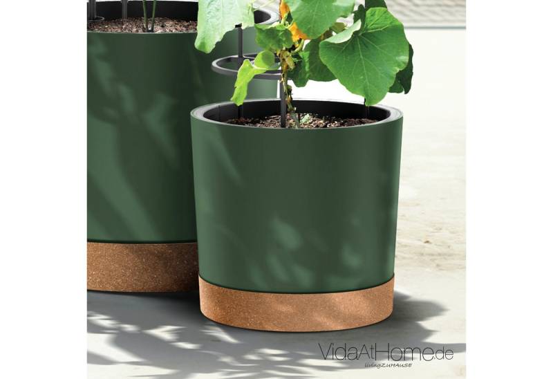 VidaAtHome.de Anzuchttopf Tomaten Anzuchttopf HOME GROWER 30er, Mit Wasserreservoir, Pflanzeinsatz und Rankgestell von VidaAtHome.de