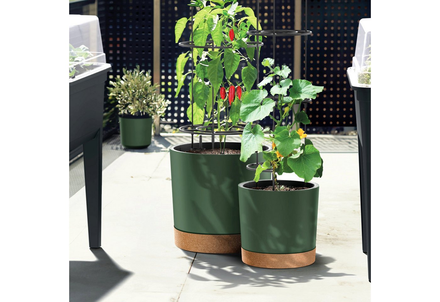 VidaAtHome.de Anzuchttopf Tomaten Anzuchttopf-Set HOME GROWER 30er & 40er (Spar-Set, Anzuchttopf 30er, 1x Anzuchttopf 40er), Mit Wasserreservoir, Pflanzeinsatz und Rankgestell von VidaAtHome.de