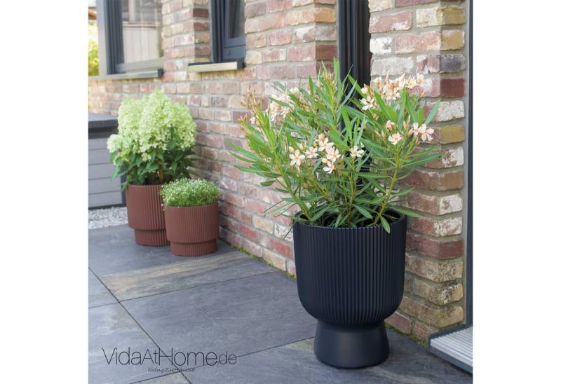 VidaAtHome.de Blumentopf Design-Pflanzgefäß ALVY ø 40er, Modernes Rillendesign, mit praktischem Pflanzeinsatz VidaAtHome.de Blumentopf Design-Pflanzgefäß ALVY ø 40er, Modernes Rillendesign, mit praktischem Pflanzeinsatz von VidaAtHome.de