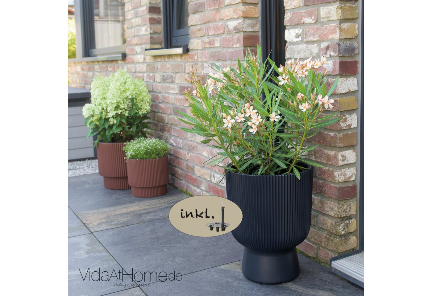 VidaAtHome.de Blumentopf Design-Pflanzgefäß ALVY ø 40er mit Bewässerungseinsatz, Modernes Rillendesign, mit Pflanzeinsatz und Bewässerungseinsatz VidaAtHome.de Blumentopf Design-Pflanzgefäß ALVY ø 40er mit Bewässerungseinsatz, Modernes Rillendesign, mit Pflanzeinsatz und Bewässerungseinsatz von VidaAtHome.de