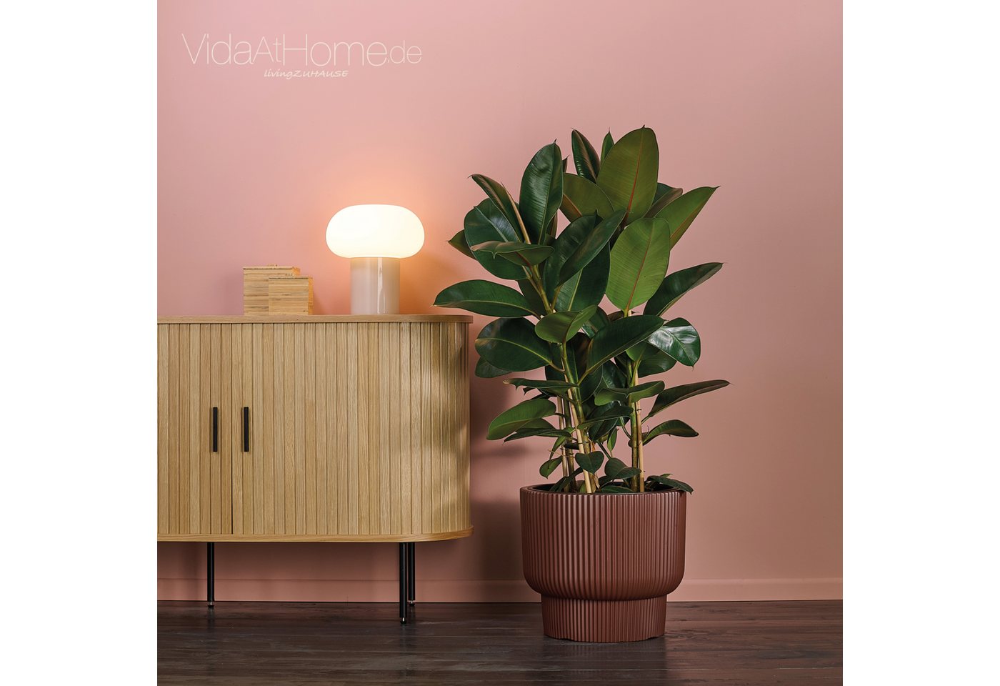 VidaAtHome.de Blumentopf Design-Pflanzgefäß ULEY ø 40er, Modernes Rillendesign, mit praktischem Pflanzeinsatz VidaAtHome.de Blumentopf Design-Pflanzgefäß ULEY ø 40er, Modernes Rillendesign, mit praktischem Pflanzeinsatz von VidaAtHome.de