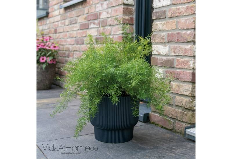 VidaAtHome.de Blumentopf Design-Pflanzgefäß ULEY ø 40er, Modernes Rillendesign, mit praktischem Pflanzeinsatz VidaAtHome.de Blumentopf Design-Pflanzgefäß ULEY ø 40er, Modernes Rillendesign, mit praktischem Pflanzeinsatz von VidaAtHome.de