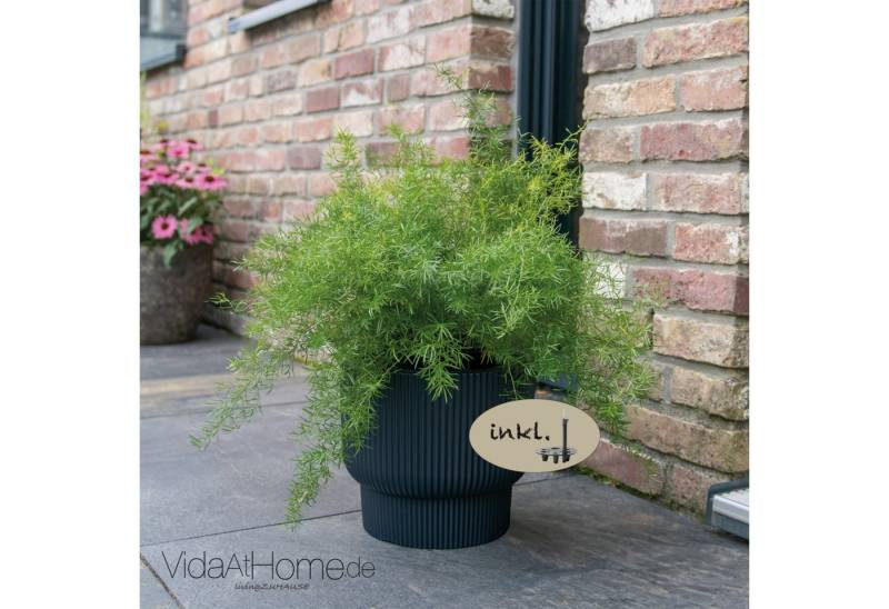 VidaAtHome.de Blumentopf Design-Pflanzgefäß ULEY ø 40er mit Bewässerungseinsatz, Modernes Rillendesign, mit Pflanzeinsatz und Bewässerungseinsatz VidaAtHome.de Blumentopf Design-Pflanzgefäß ULEY ø 40er mit Bewässerungseinsatz, Modernes Rillendesign, mit Pflanzeinsatz und Bewässerungseinsatz von VidaAtHome.de