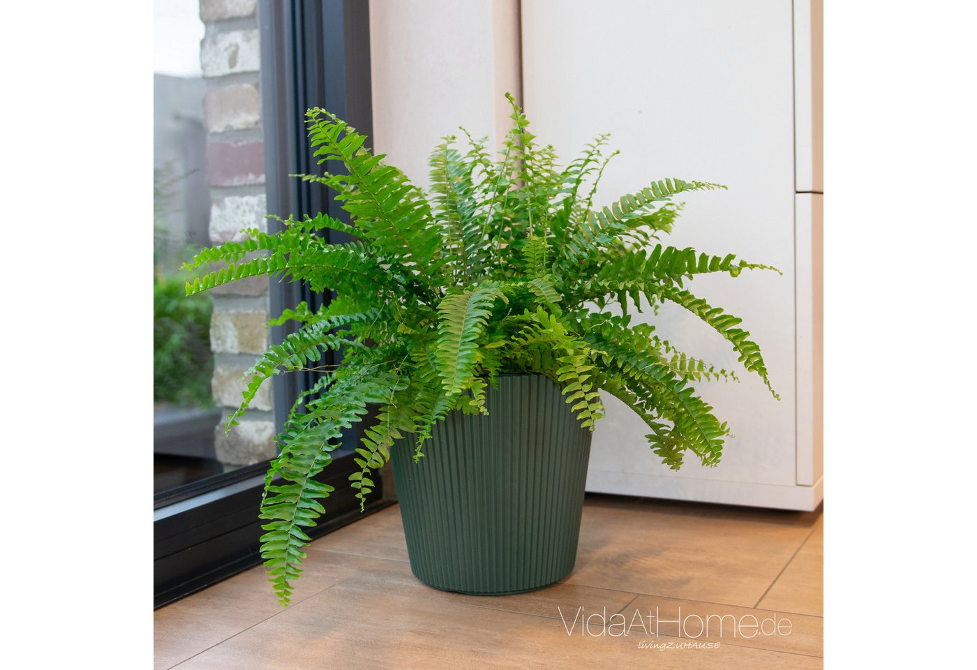 VidaAtHome.de Blumentopf Design-Pflanztopf BRYA ø 24er, Modernes Rillendesign, aus Kunststoff, mit Pflanzeinsatz VidaAtHome.de Blumentopf Design-Pflanztopf BRYA ø 24er, Modernes Rillendesign, aus Kunststoff, mit Pflanzeinsatz von VidaAtHome.de