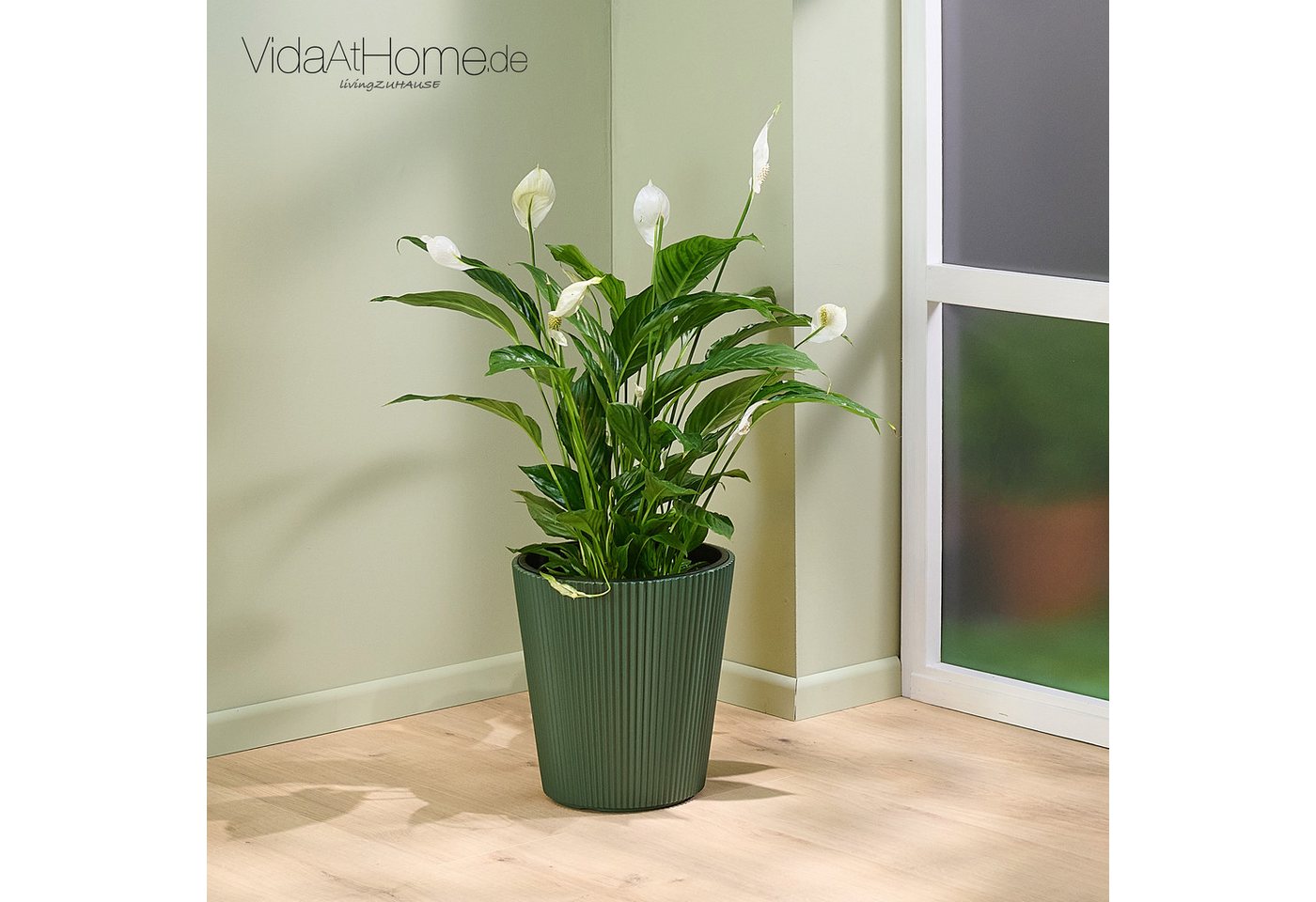 VidaAtHome.de Blumentopf Design-Pflanztopf BRYA ø 30er, Modernes Rillendesign, aus Kunststoff, mit Pflanzeinsatz VidaAtHome.de Blumentopf Design-Pflanztopf BRYA ø 30er, Modernes Rillendesign, aus Kunststoff, mit Pflanzeinsatz von VidaAtHome.de