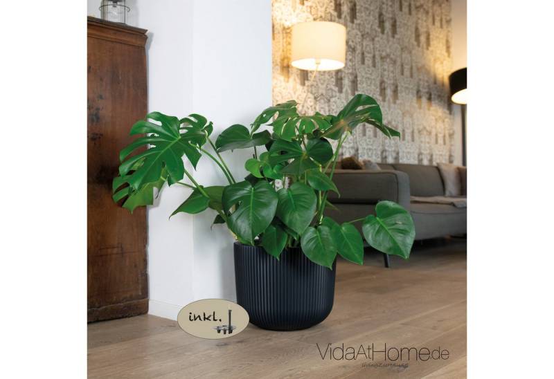 VidaAtHome.de Blumentopf Design-Pflanztopf CYRA ø 40er mit Bewässerungseinsatz, In modernem Rillendesign, mit Bewässerungseinsatz VidaAtHome.de Blumentopf Design-Pflanztopf CYRA ø 40er mit Bewässerungseinsatz, In modernem Rillendesign, mit Bewässerungseinsatz von VidaAtHome.de