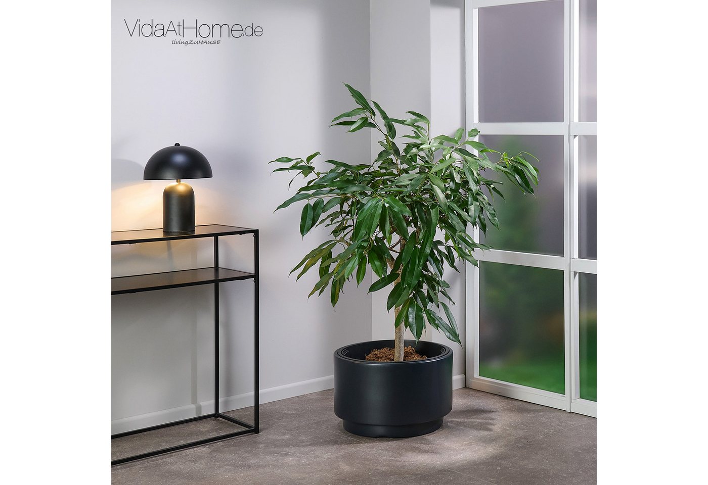 VidaAtHome.de Blumentopf Pflanzgefäß ASTA ø 47er, Pflanztopf mit Pflanzeinsatz in modernem Design VidaAtHome.de Blumentopf Pflanzgefäß ASTA ø 47er, Pflanztopf mit Pflanzeinsatz in modernem Design von VidaAtHome.de