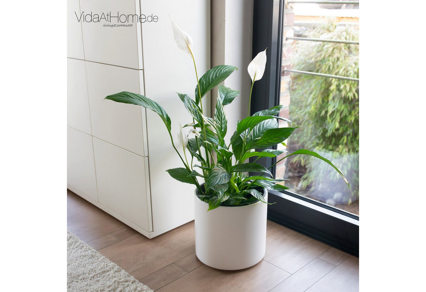 VidaAtHome.de Blumentopf Pflanzgefäß BATOS ø 30er, Pflanztopf mit Pflanzeinsatz in modernem Design VidaAtHome.de Blumentopf Pflanzgefäß BATOS ø 30er, Pflanztopf mit Pflanzeinsatz in modernem Design von VidaAtHome.de