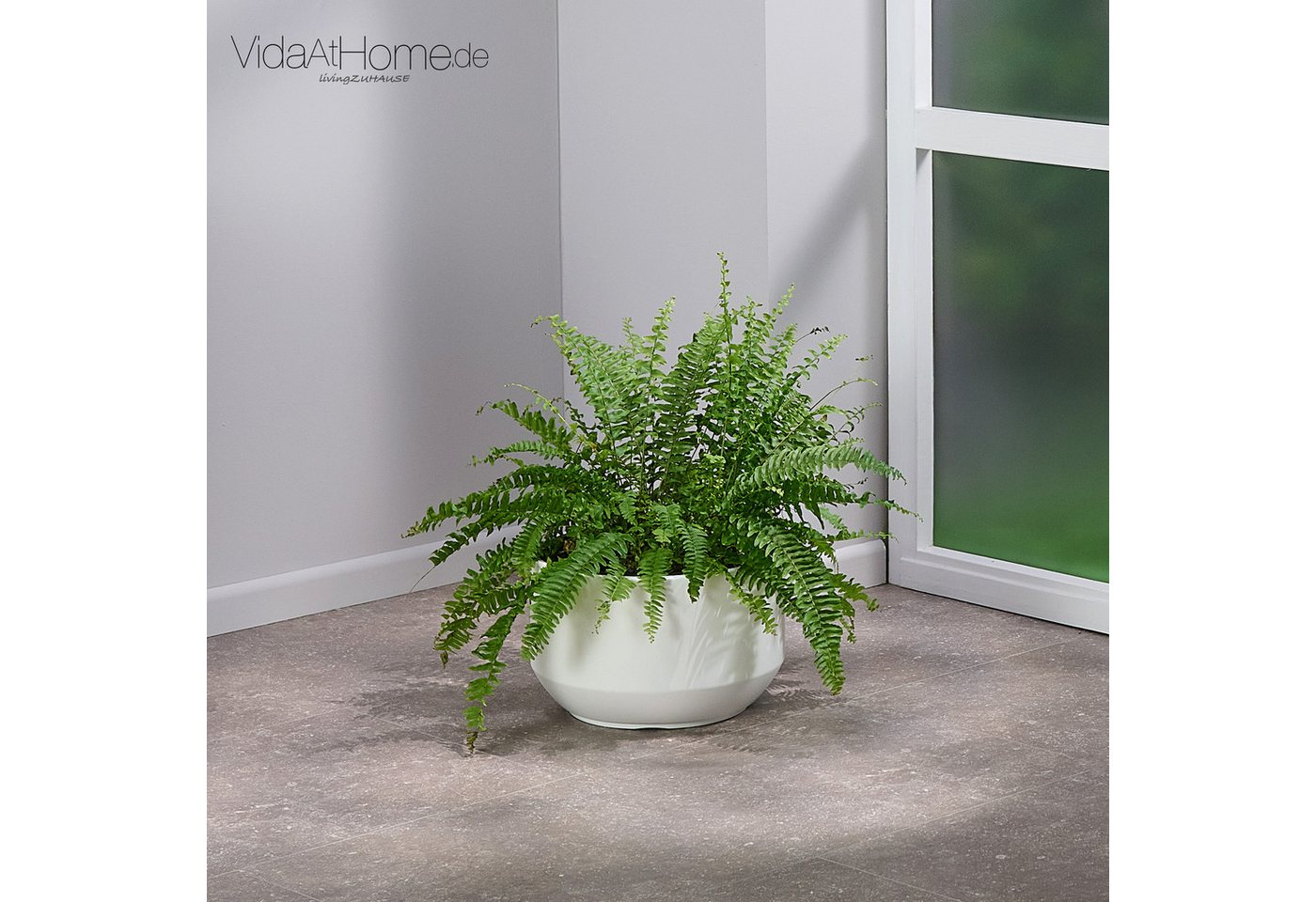 VidaAtHome.de Blumentopf Pflanzgefäß CLEA ø 30er, Pflanztopf mit Pflanzeinsatz in modernem Design VidaAtHome.de Blumentopf Pflanzgefäß CLEA ø 30er, Pflanztopf mit Pflanzeinsatz in modernem Design von VidaAtHome.de