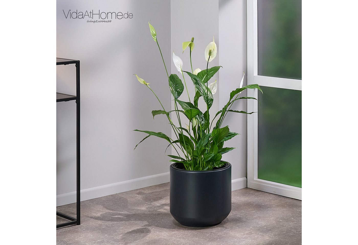 VidaAtHome.de Blumentopf Pflanzgefäß HERA ø 30er, Pflanztopf mit Pflanzeinsatz in modernem Design VidaAtHome.de Blumentopf Pflanzgefäß HERA ø 30er, Pflanztopf mit Pflanzeinsatz in modernem Design von VidaAtHome.de