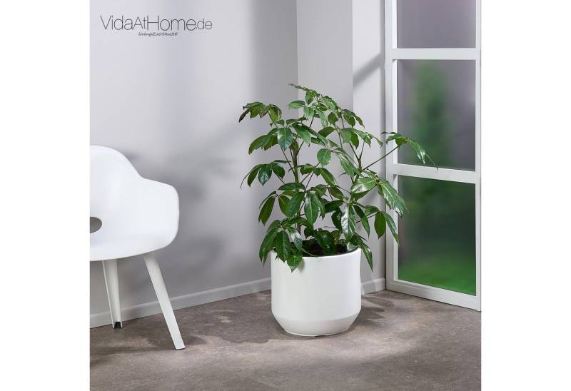 VidaAtHome.de Blumentopf Pflanzgefäß HERA ø 40er, Pflanztopf mit Pflanzeinsatz in modernem Design von VidaAtHome.de