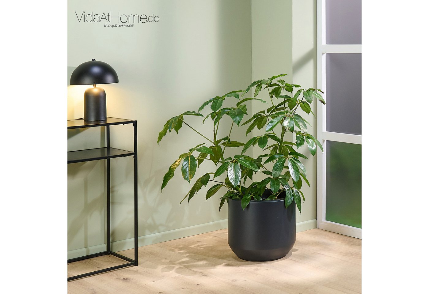 VidaAtHome.de Blumentopf Pflanzgefäß HERA ø 40er, Pflanztopf mit Pflanzeinsatz in modernem Design VidaAtHome.de Blumentopf Pflanzgefäß HERA ø 40er, Pflanztopf mit Pflanzeinsatz in modernem Design von VidaAtHome.de