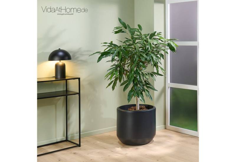 VidaAtHome.de Blumentopf Pflanzgefäß HERA ø 47er, Pflanztopf mit Pflanzeinsatz in modernem Design von VidaAtHome.de
