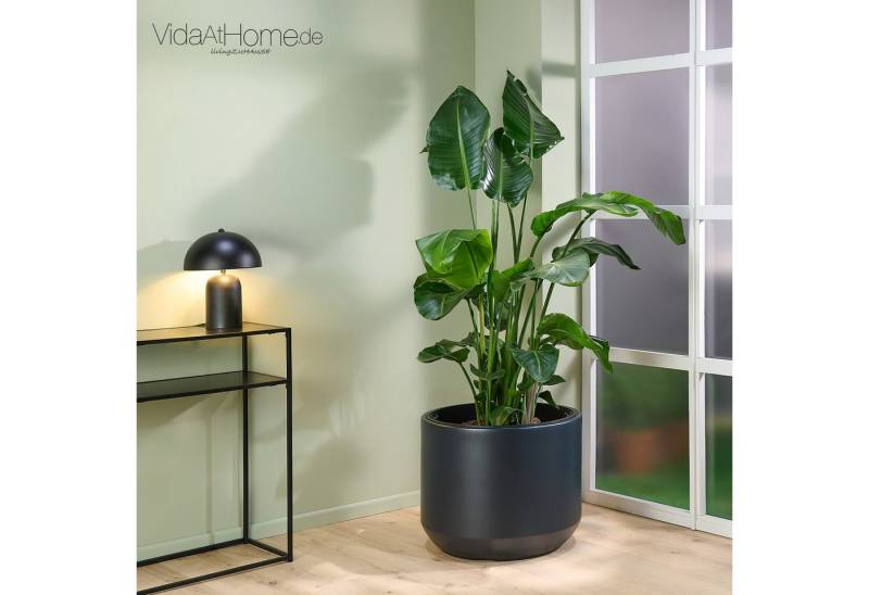 VidaAtHome.de Blumentopf Pflanzgefäß HERA ø 57er, Großer Pflanztopf mit Pflanzeinsatz in modernem Design VidaAtHome.de Blumentopf Pflanzgefäß HERA ø 57er, Großer Pflanztopf mit Pflanzeinsatz in modernem Design von VidaAtHome.de