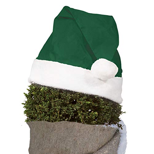Videx-Pflanzen-Weihnachtsmütze, grün von Videx