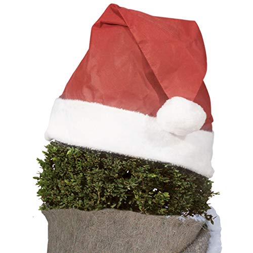 Videx-Pflanzen-Weihnachtsmütze, rot von Videx