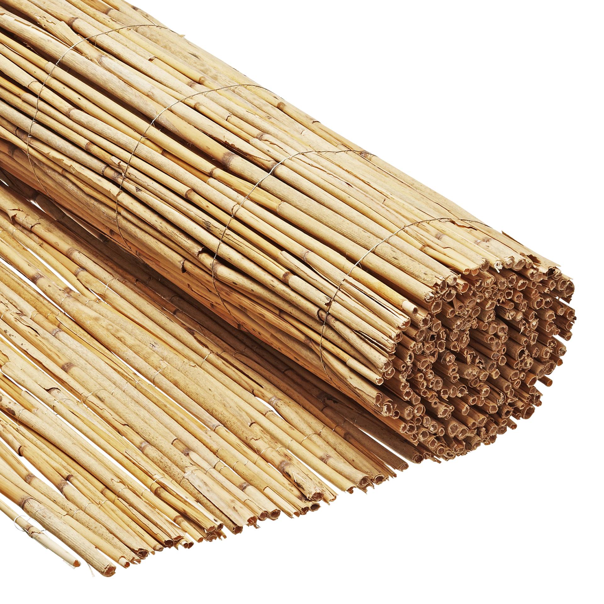 Videx Winterschutzmatte "Basic M" Schilf 150 x 50 cm Videx Winterschutzmatte "Basic M" Schilf 150 x 50 cm von Videx