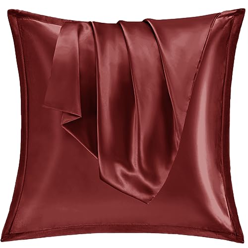 Vielit 2er Set Satin Kissenbezug 65x65 Rot, Weich wie Seidenkissenbezug,Bessere Pflege als Silk Pillosecase,Satin Kopfkissenbezug 65x65 Kissenhülle für Haar und Haut mit Reißverschluss von Vielit