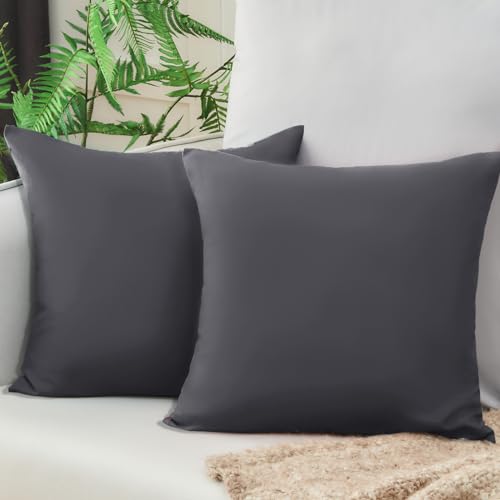 Vielit Sofa Kissenbezug 40x40 Anthrazit Weich Kopfkissenbezug 40x40 2er Set Mikrofaser Kissenbezüge 40x40 Kissenhülle Für Kissen 40x40cm Öko-Zertifikat Resistent Hypoallergen von Vielit