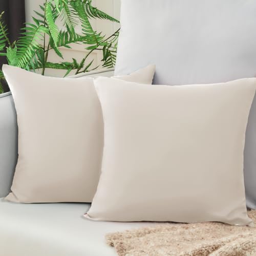 Vielit Sofa Kissenbezug 40x40 Beige Weich Kopfkissenbezug 40x40 2er Set Mikrofaser Kissenbezüge 40x40 Kissenhülle Für Kissen 40x40cm Öko-Zertifikat Resistent Hypoallergen von Vielit