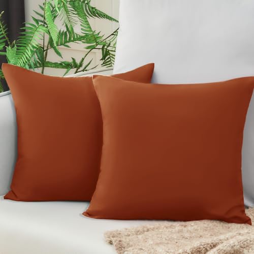 Vielit Sofa Kissenbezug 40x40 Orange 2er Set Mikrofaser Kissenbezüge 40x40 Kissenhülle Für Kissen 40x40cm Öko-Zertifikat Resistent Hypoallergen Vielit Sofa Kissenbezug 40x40 Orange 2er Set Mikrofaser Kissenbezüge 40x40 Kissenhülle Für Kissen 40x40cm Öko-Zertifikat Resistent Hypoallergen von Vielit