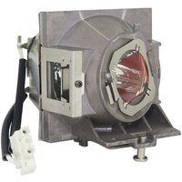 Viewsonic RLC-124 Beamerlampe Originalmodul von Viewsonic