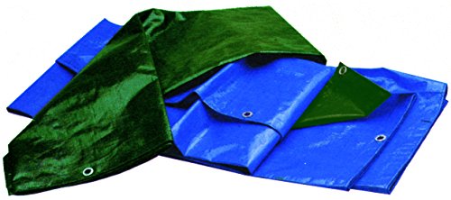 Blinky Kraft 79850 – 65 snatch-bache Lourde 10 x 12 m zweifarbig blau/grün von Vigor Blinky
