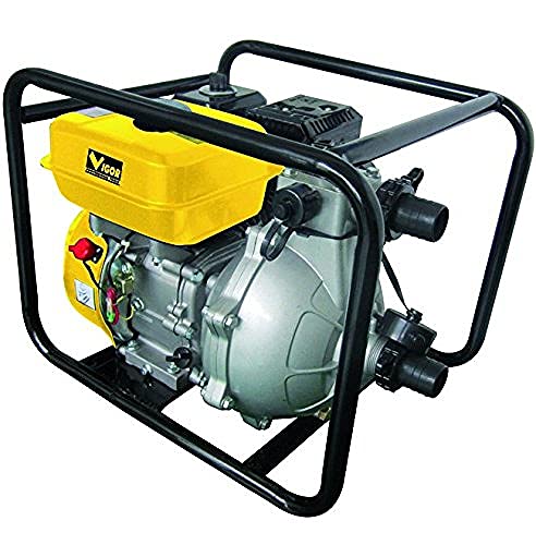 Vigor 7581010 V-mm55 Motorpumpe Tauchpumpe von Vigor