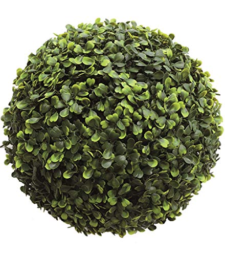 Vigor 7970755 Kugelhecke, Grün von Vigor