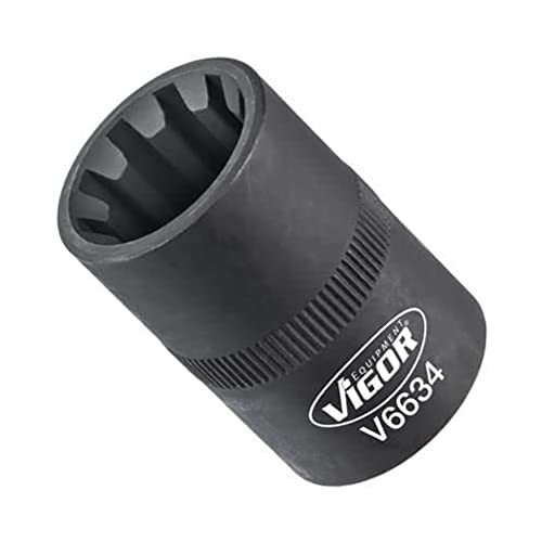 1/2" KRAFTEINSATZ BREMSVERSCHR.10PT-20MM 1/2" KRAFTEINSATZ BREMSVERSCHR.10PT-20MM von Vigor