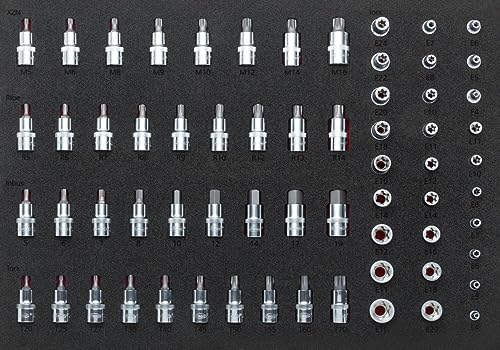 Vigor Weichschaum-Einlage 1/1 für E-Torx, XZN, Innen_Sechskant und Ribe Steckschlüssel-Einsätze, 64-teilig, 1 Stück, V2837 von Vigor