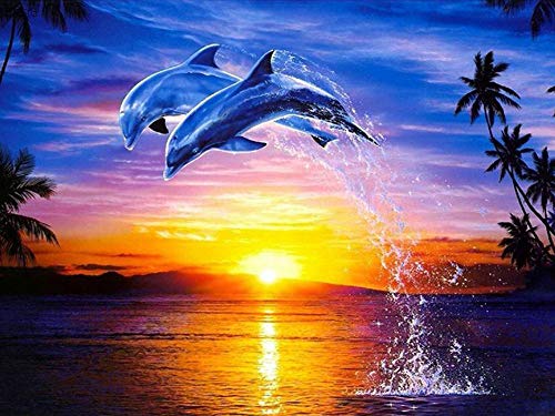 Viiegor DIY 5D Diamond Painting Zubehör Voll Full Set Delfin, Diamant Painting Bilder Landschaft, Stickerei Strass Diamant Malerei Kunsthandwerks Gemälde Wanddekoration 30x40cm von Viiegor