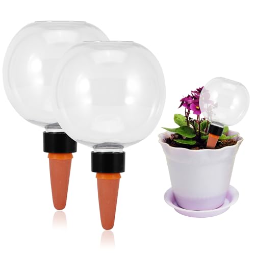 Viitech Bewässerungskugeln 500ml, Automatische Pflanzen Bewässerung, Wasserspender Pflanzen zur Automatischen Bewässerung von Zimmer und Gartenpflanzen (2 Stück) von Viitech