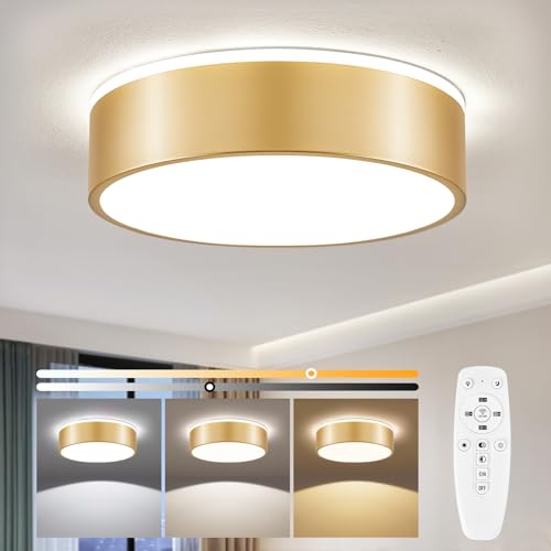 Vikaey LED Deckenleuchte Dimmbar 30cm Gold, 24W Deckenlampe Schlafzimmer Rund mit Fernbedienung, Moderne Dimmbare LED Lampe Decken für Wohnzimmer, Küchen, Badezimmer, Esszimmer, Kinderzimmer, Flur von Vikaey