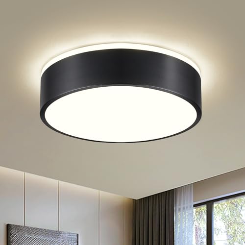 Vikaey Moderne Deckenlampe,LED Deckenleuchte Schwarzem Metall,4000K,24W Schlafzimmerleuchte Für Wohnzimmer,Küche,Bad,Korridor,Esszimmer,Lounge,Ø30 cm von Vikaey