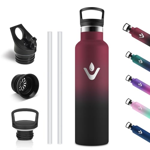 Vikastar Edelstahl Trinkflasche, Thermosflasche 750 ml, BPA-frei Trinkflasche, Thermosflasche mit Strohhalm, Trinkflaschee für Schule, Sport, Fahrrad, Camping, Rot & Schwarz Vikastar Edelstahl Trinkflasche, Thermosflasche 750 ml, BPA-frei Trinkflasche, Thermosflasche mit Strohhalm, Trinkflaschee für Schule, Sport, Fahrrad, Camping, Rot & Schwarz von Vikastar