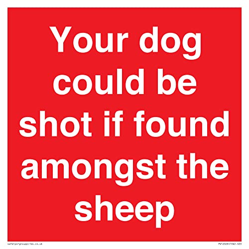 S20 Schild mit Aufschrift "Your dog could be shot if found among the sheep", 200 x 200 mm von Viking Signs