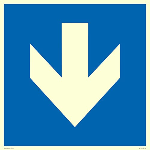 S60 Schild mit Pfeil nach unten – 600 x 600 mm S60 Schild mit Pfeil nach unten – 600 x 600 mm von Viking Signs