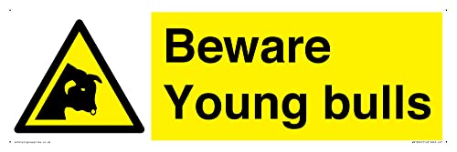 Schild "Beware Young Bulls", 450 x 150 mm, L41 von Viking Signs