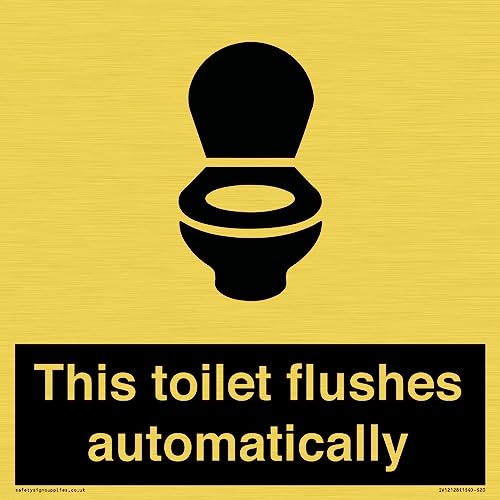 Schild "This toilet flushes automatical", 200 x 200 mm, S20 von Viking Signs