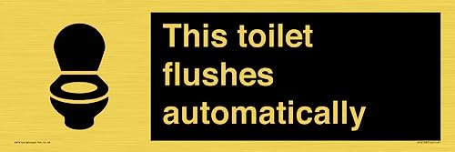 Schild "This toilet flushes automatical", 450 x 150 mm, L41 von Viking Signs