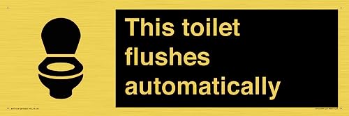 Schild "This toilet flushes automatical", 450 x 150 mm, L41 von Viking Signs