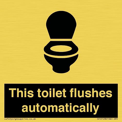 Schild "This toilet flushes automatical", 85 x 85 mm, S85 von Viking Signs