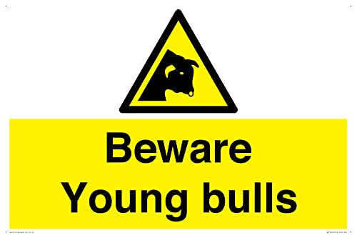 Schild mit Aufschrift "Beware Young Bulls", 600 x 400 mm, A2L von Viking Signs