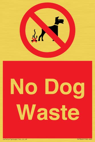 Schild mit Aufschrift "No Dog Waste", 100 x 150 mm, A6P von Viking Signs