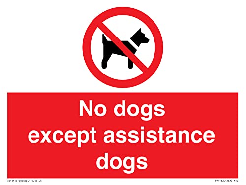 Schild mit Aufschrift "No dogs except aid dogs", 200 x 150 mm, A5L von Viking Signs